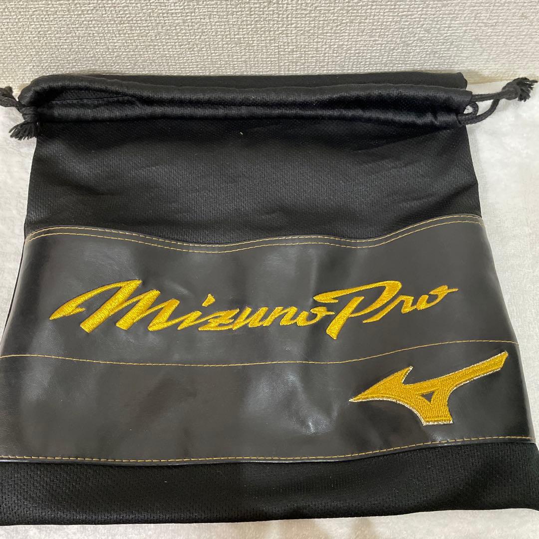 ミズノプロ　硬式内野 グローブBSSテネイシャスプロエリートレザー