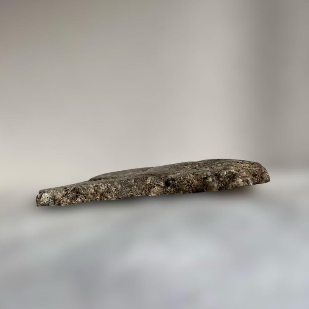 【極希少】猿投山の菊花石　約203g 天然記念物　水石　鑑賞石　菊石　鉱物