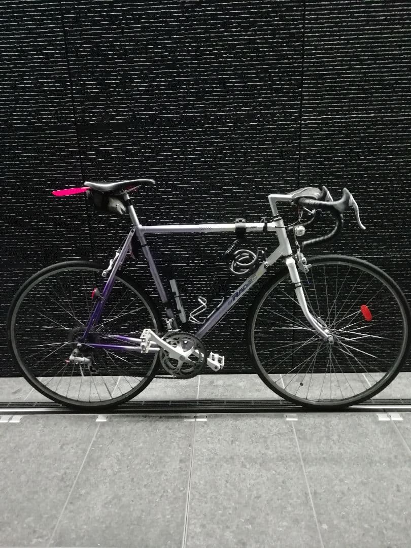 ロードバイク Junk ブリジストンレイダック1989年頃！