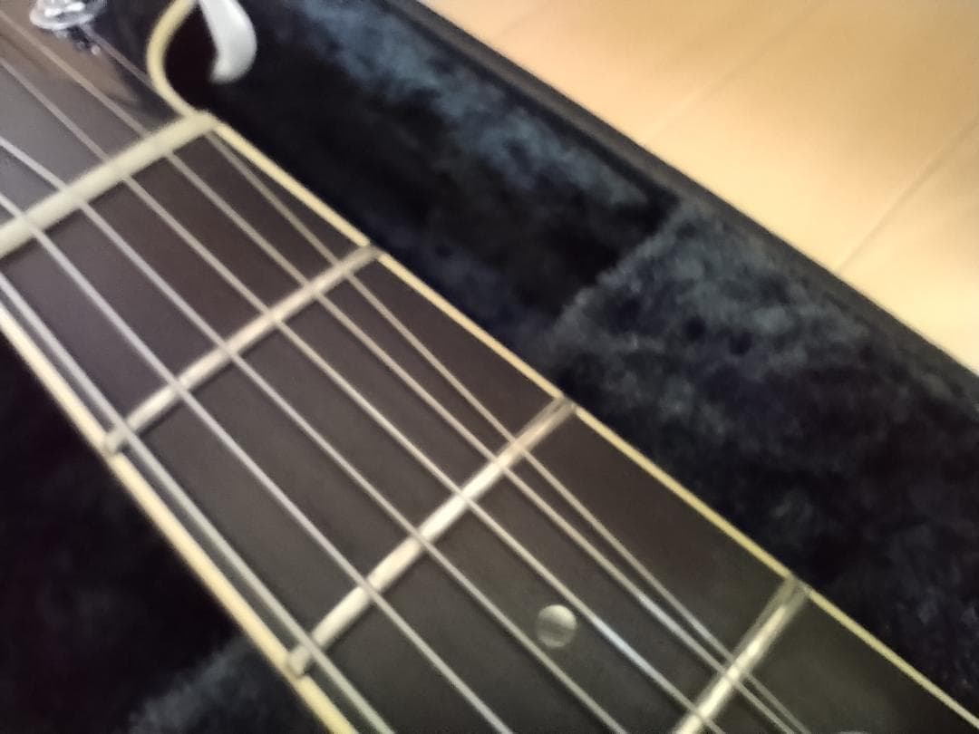 T's guitars ARC Hollow キルトトップ