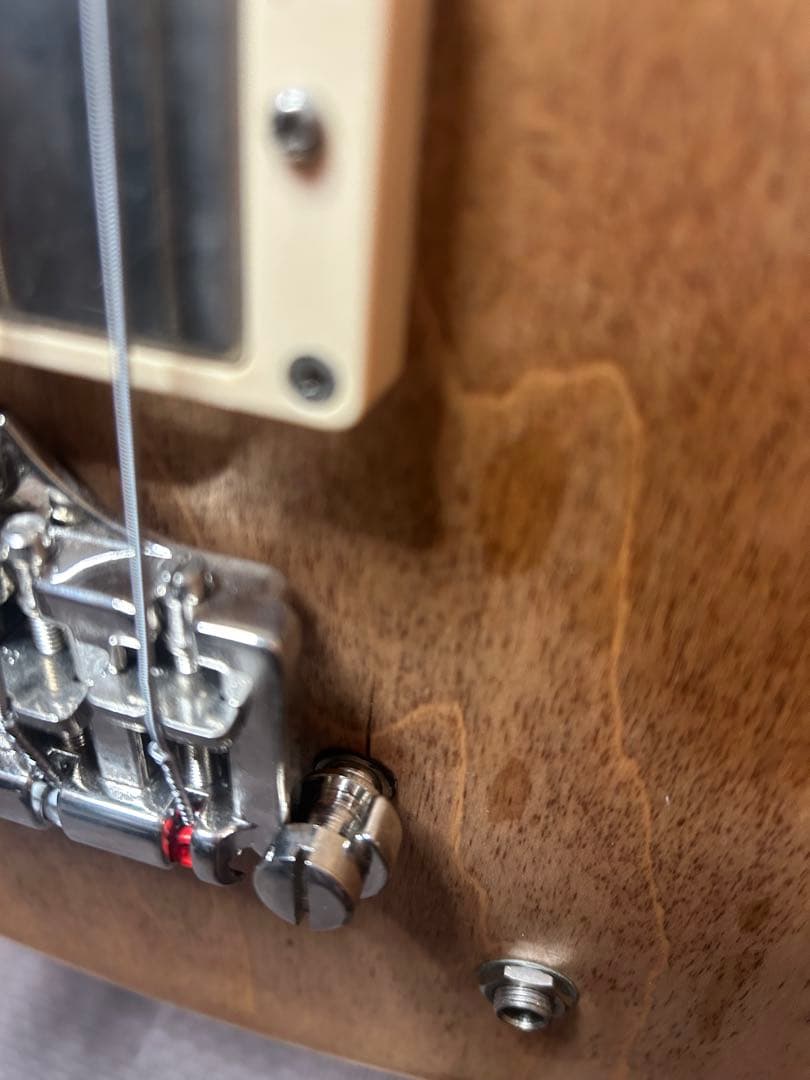 GIBSON ES-335 bass Memphis エレキベース ギブソン