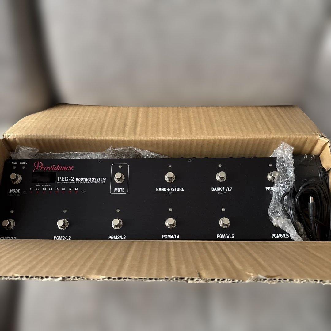 【明日午前中まで】Providence PEC-2