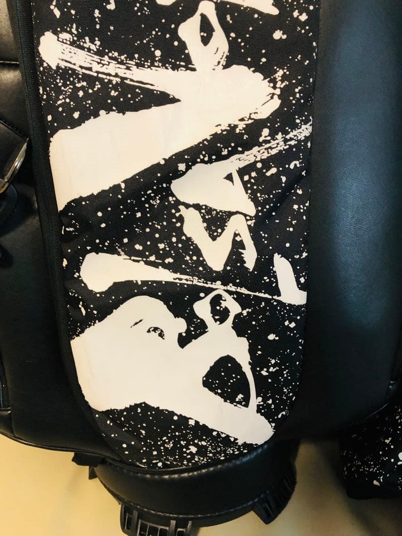 【送料込み】廃盤激レアMIZUNO BOLSA VOADORA キャディバッグ