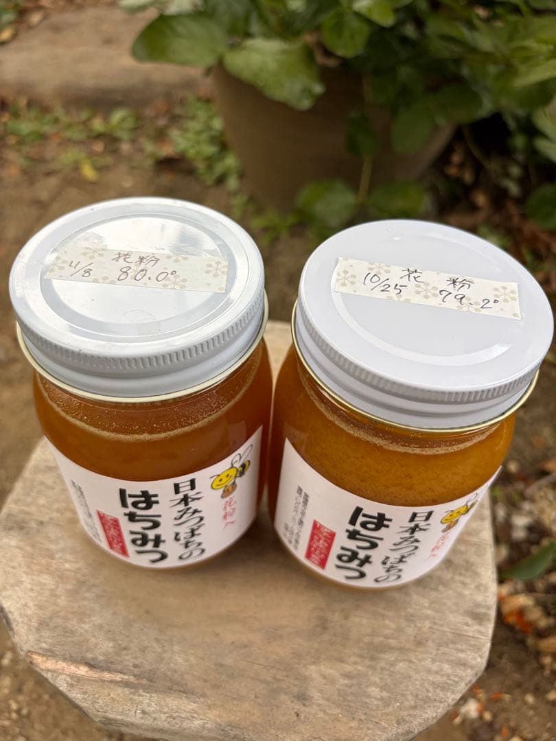 ハチミツ　日本蜜蜂の蜂蜜　奥山の奥のはちみつ　花粉入り結晶化