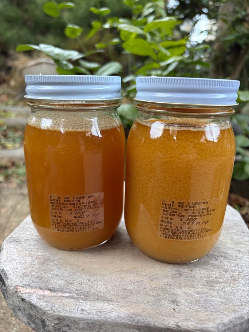 ハチミツ　日本蜜蜂の蜂蜜　奥山の奥のはちみつ　花粉入り結晶化