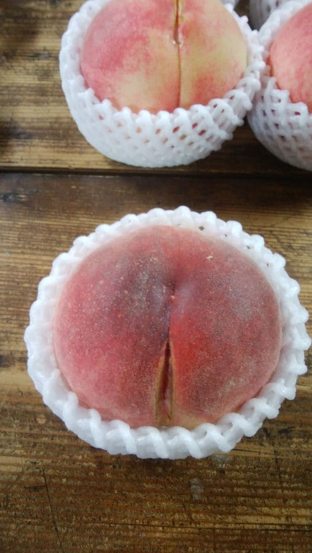 みつわさん専用　特大　桃　さくら白桃　わけあり　10kg