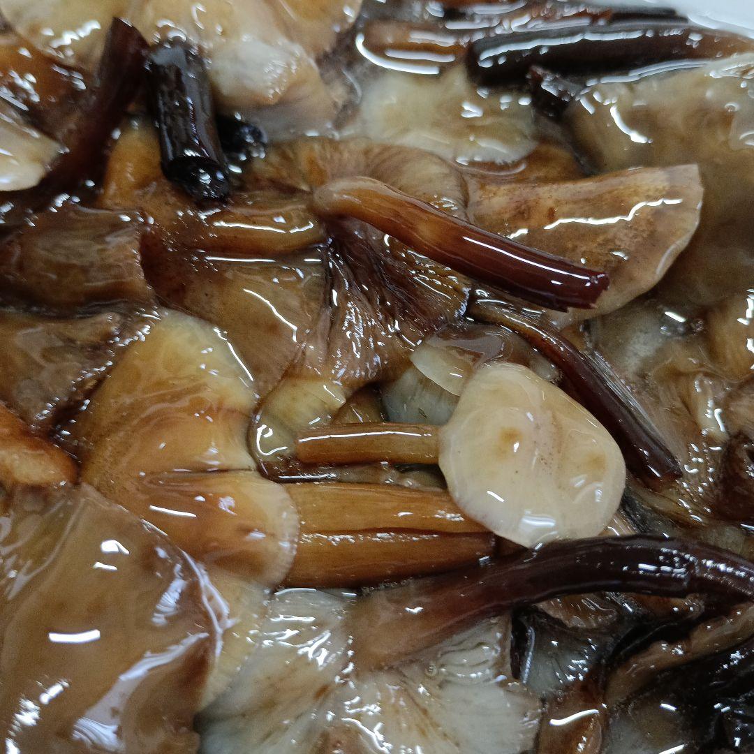 秋田県産天然ナラタケ 塩蔵５００g