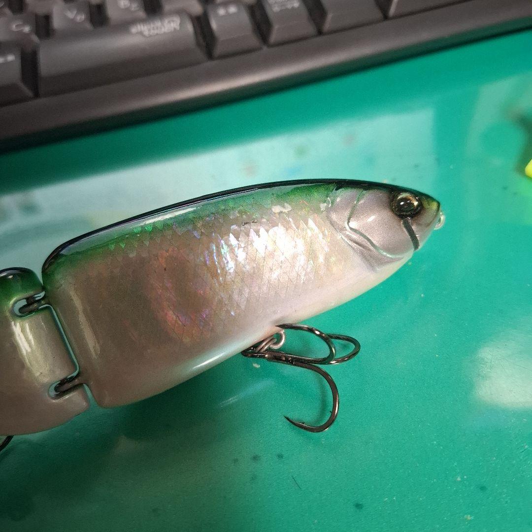 DRT　タイニークラッシュ 　アバロン　アワビ　TiNY KLASH　EDDY