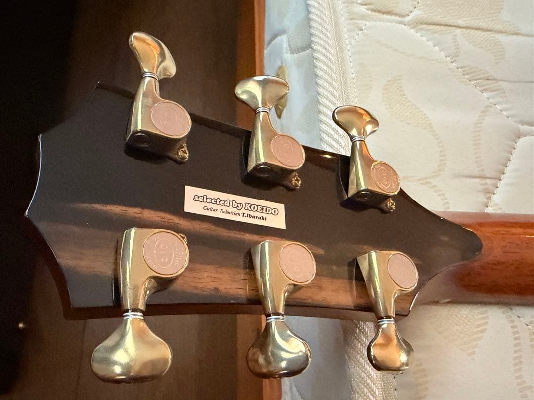 ギター Taylor 914ce es2