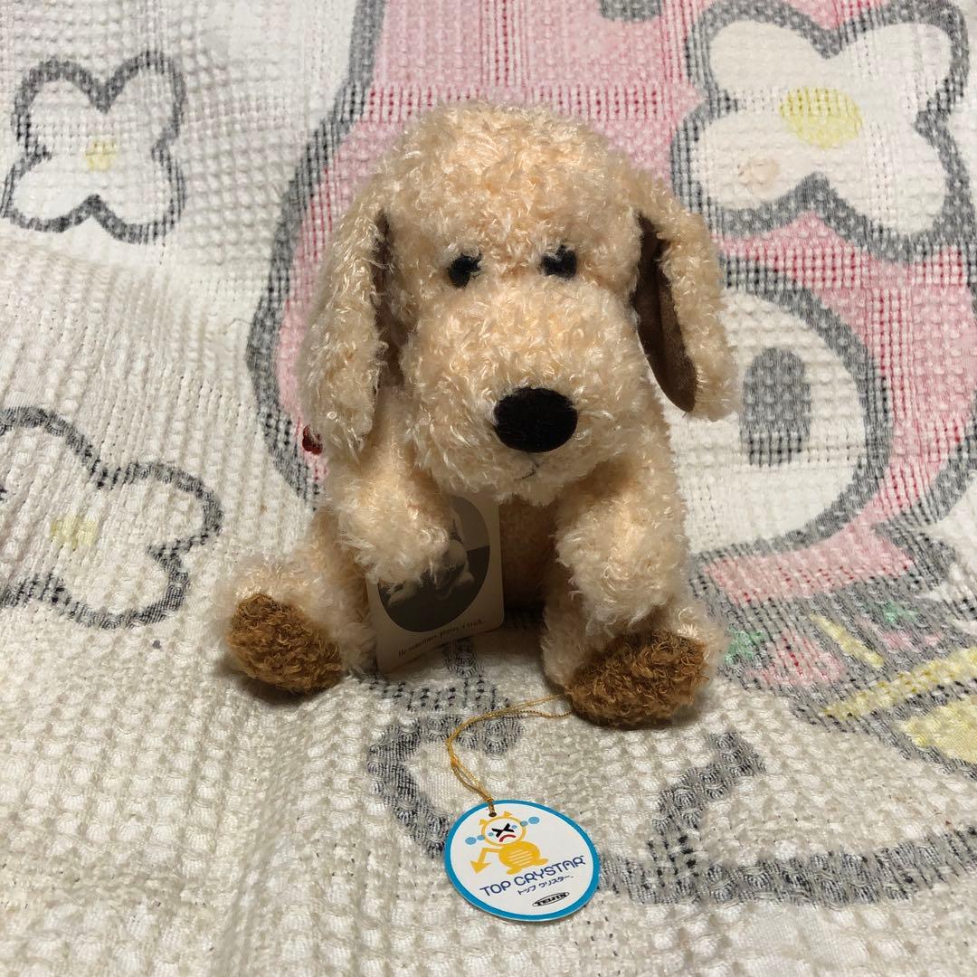 ファースト　Robin ロビン　犬　ぬいぐるみ　紙タグ付き　中古品