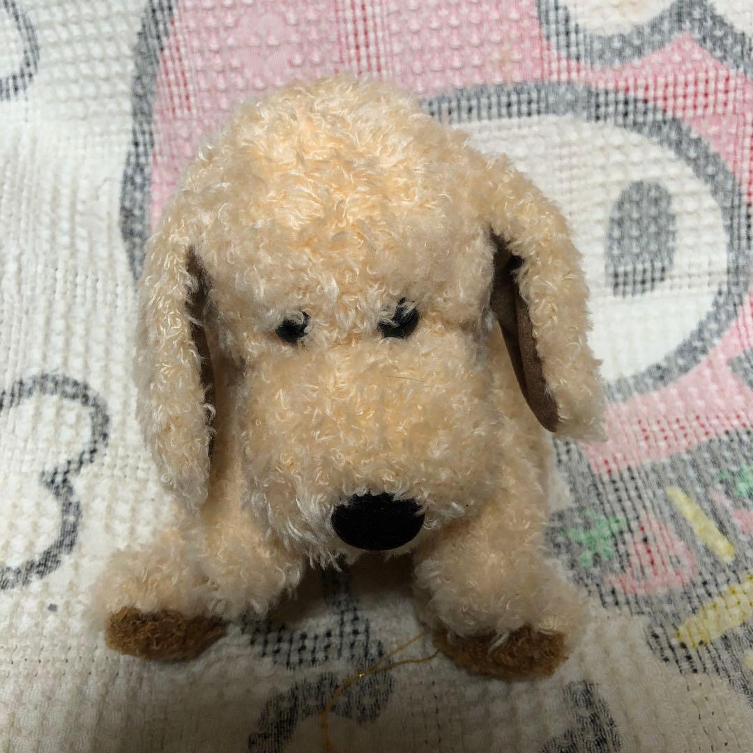 ファースト　Robin ロビン　犬　ぬいぐるみ　紙タグ付き　中古品