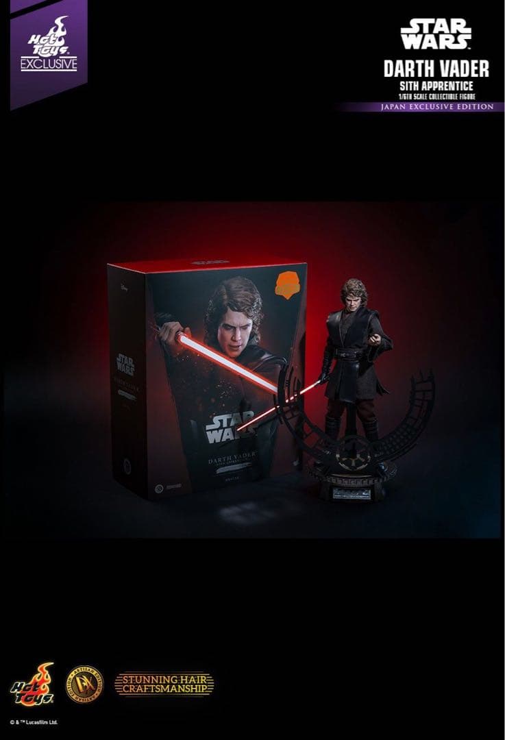 ホットトイズ アナキン ダークサイド アルチザン SWCJ限定版