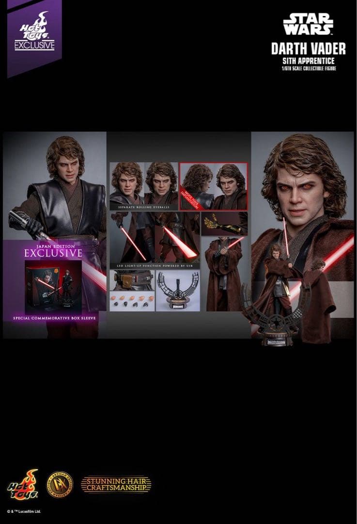 ホットトイズ アナキン ダークサイド アルチザン SWCJ限定版