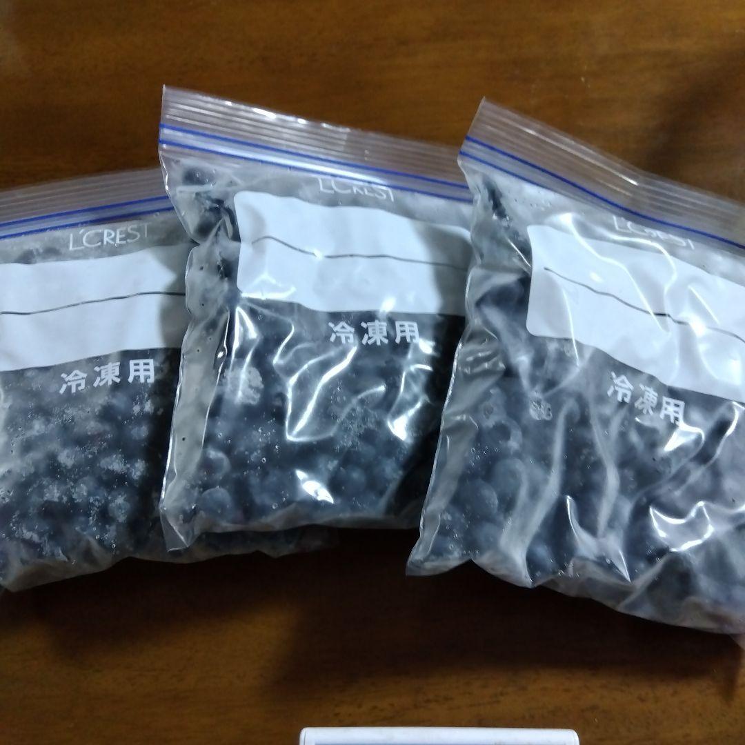 朝摘み冷凍ブルーベリー4キロ入り