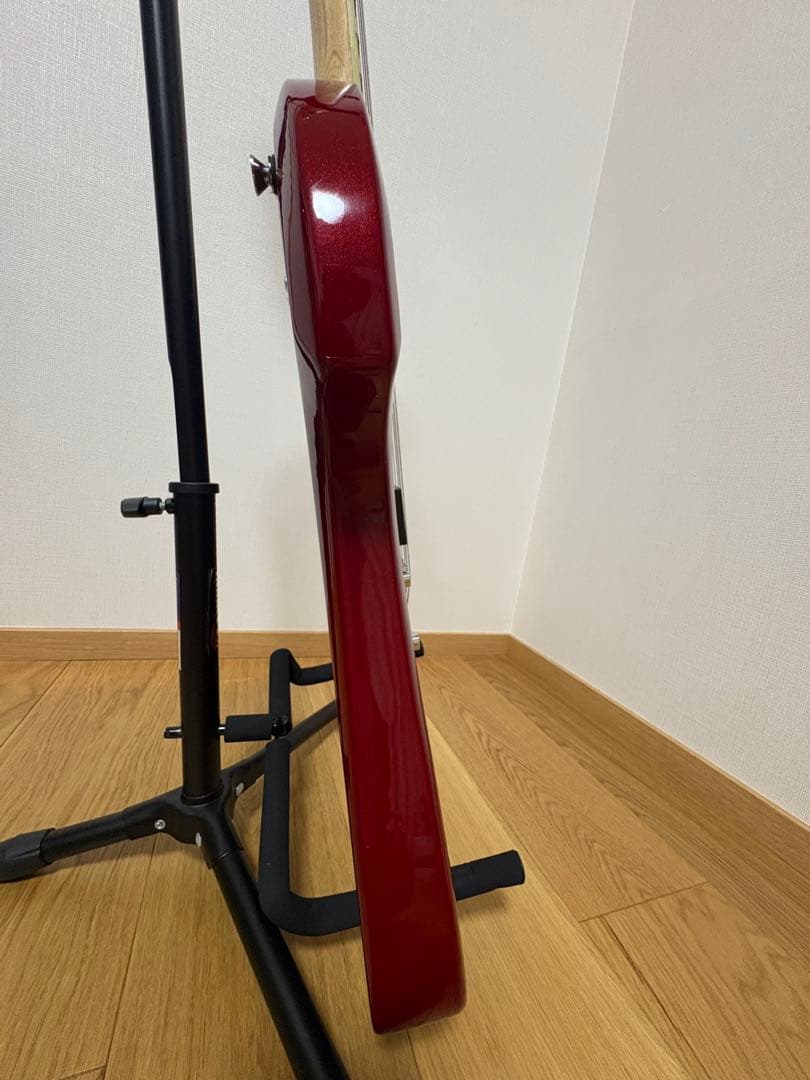 【hide yoshi】JAGARD エレキギター モッキンバード