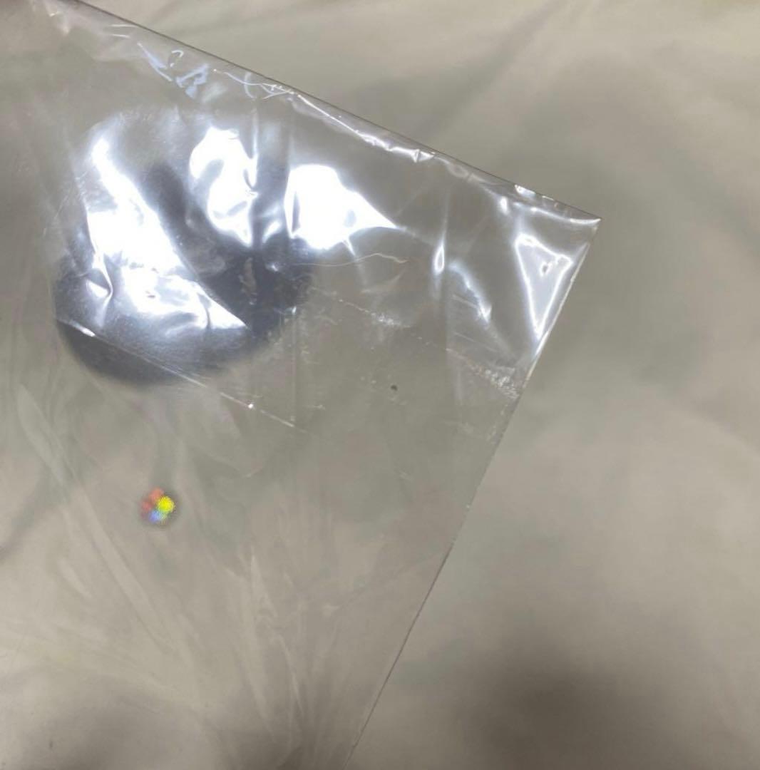 SEVENTEEN ウォヌ ホリコレ うちわ ピケット セブチ