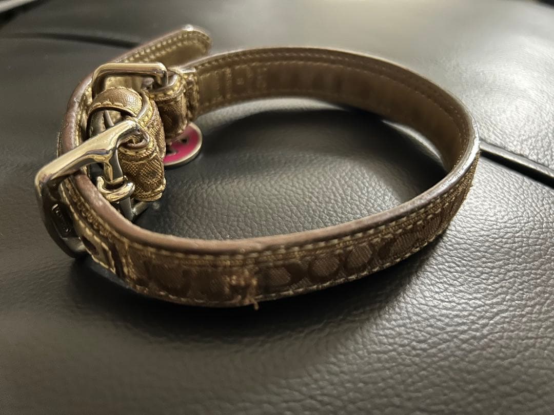 COACHの首輪とリードセット ★犬用ダウン付き