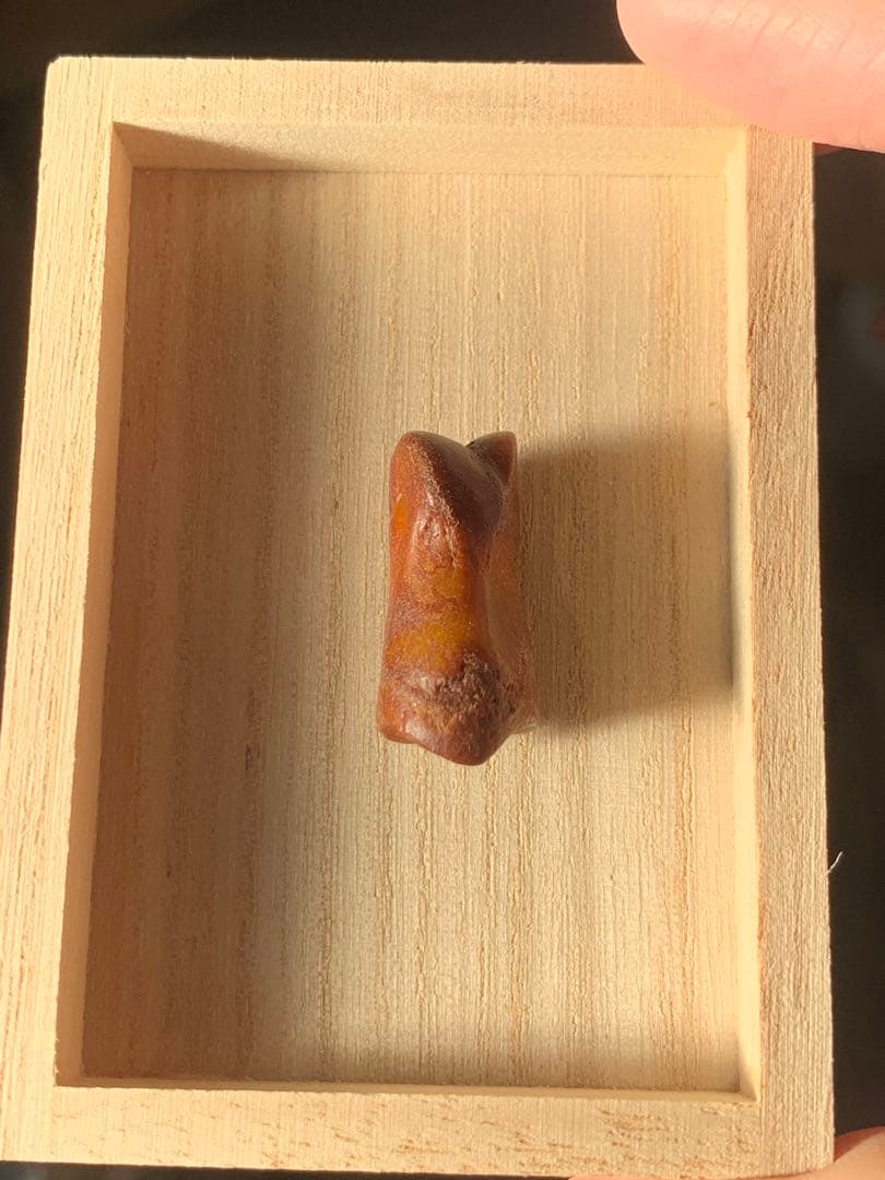 呪物　カパラ　チベット　カパーラ　頭蓋骨　クマントーン　プラクルアン　根付　密教