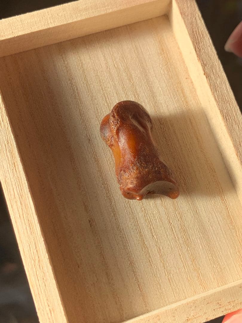 呪物　カパラ　チベット　カパーラ　頭蓋骨　クマントーン　プラクルアン　根付　密教