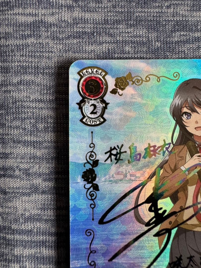 ヴァイスシュヴァルツ　青春ブタ野郎シリーズ　君と過ごした1年間　桜島麻衣　ABR