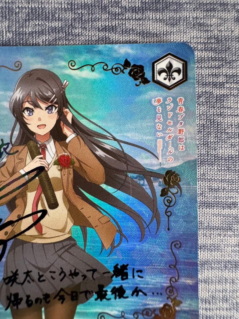 ヴァイスシュヴァルツ　青春ブタ野郎シリーズ　君と過ごした1年間　桜島麻衣　ABR