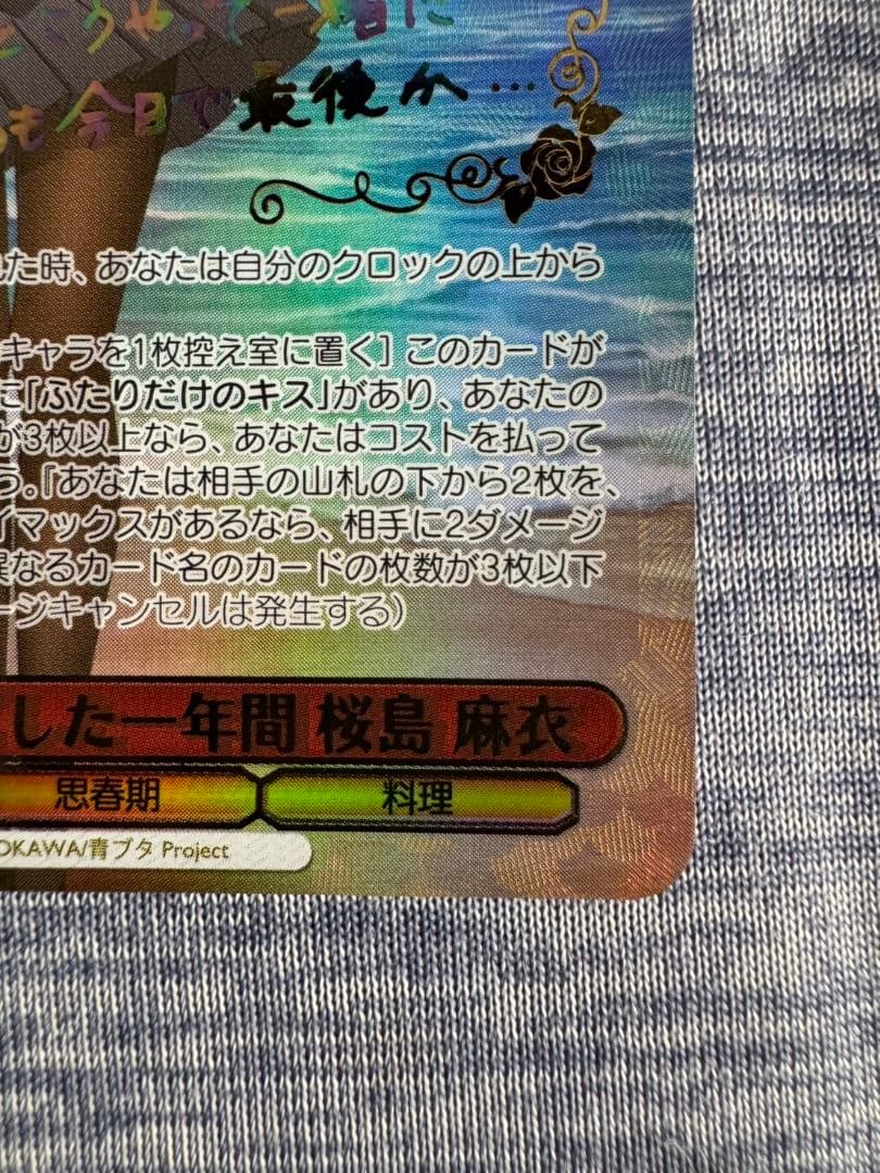 ヴァイスシュヴァルツ　青春ブタ野郎シリーズ　君と過ごした1年間　桜島麻衣　ABR