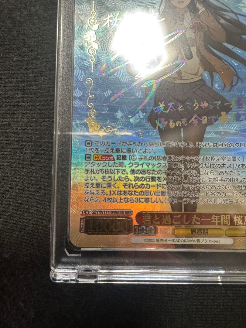 ヴァイスシュヴァルツ　青春ブタ野郎シリーズ　君と過ごした1年間　桜島麻衣　ABR