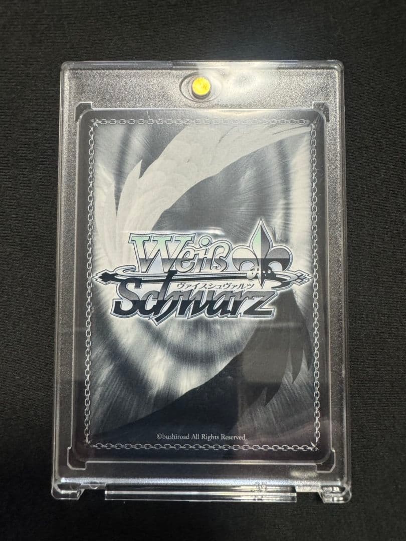 ヴァイスシュヴァルツ　青春ブタ野郎シリーズ　君と過ごした1年間　桜島麻衣　ABR