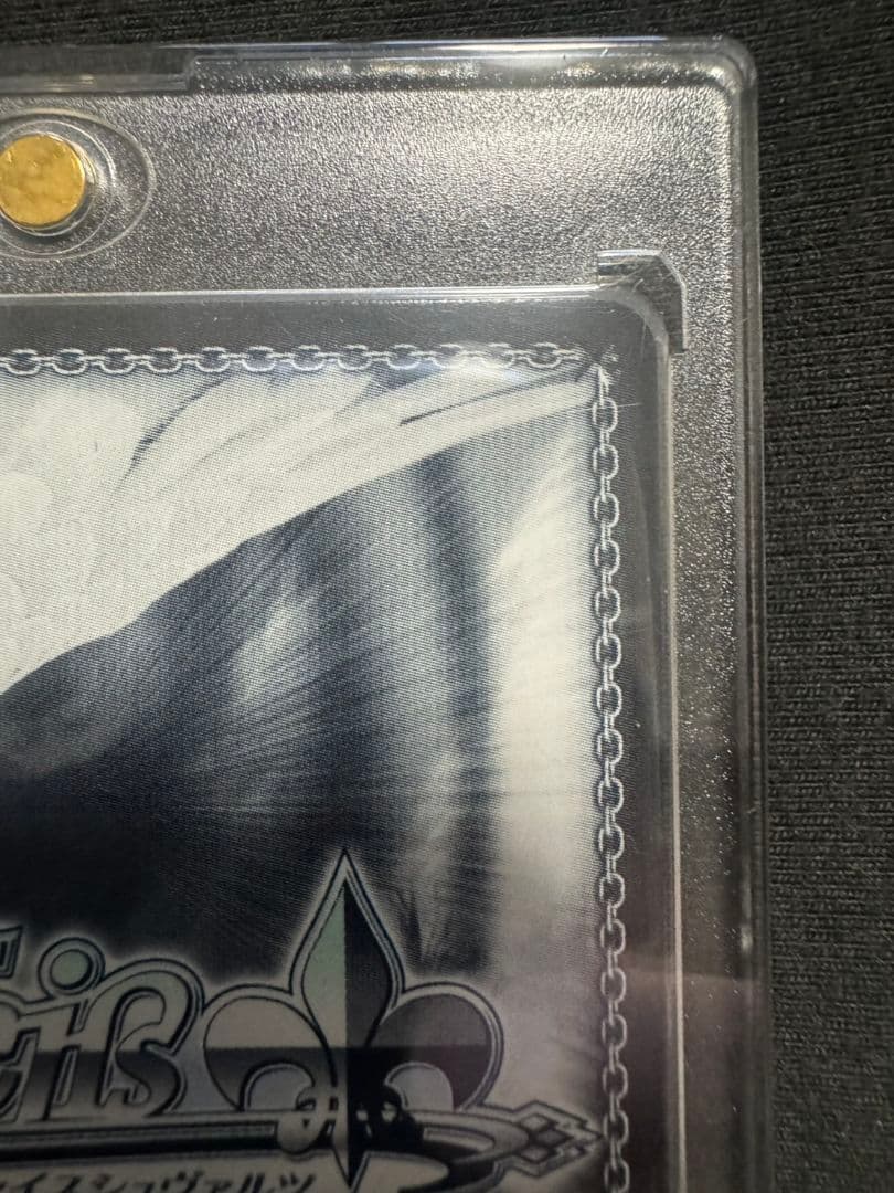 ヴァイスシュヴァルツ　青春ブタ野郎シリーズ　君と過ごした1年間　桜島麻衣　ABR