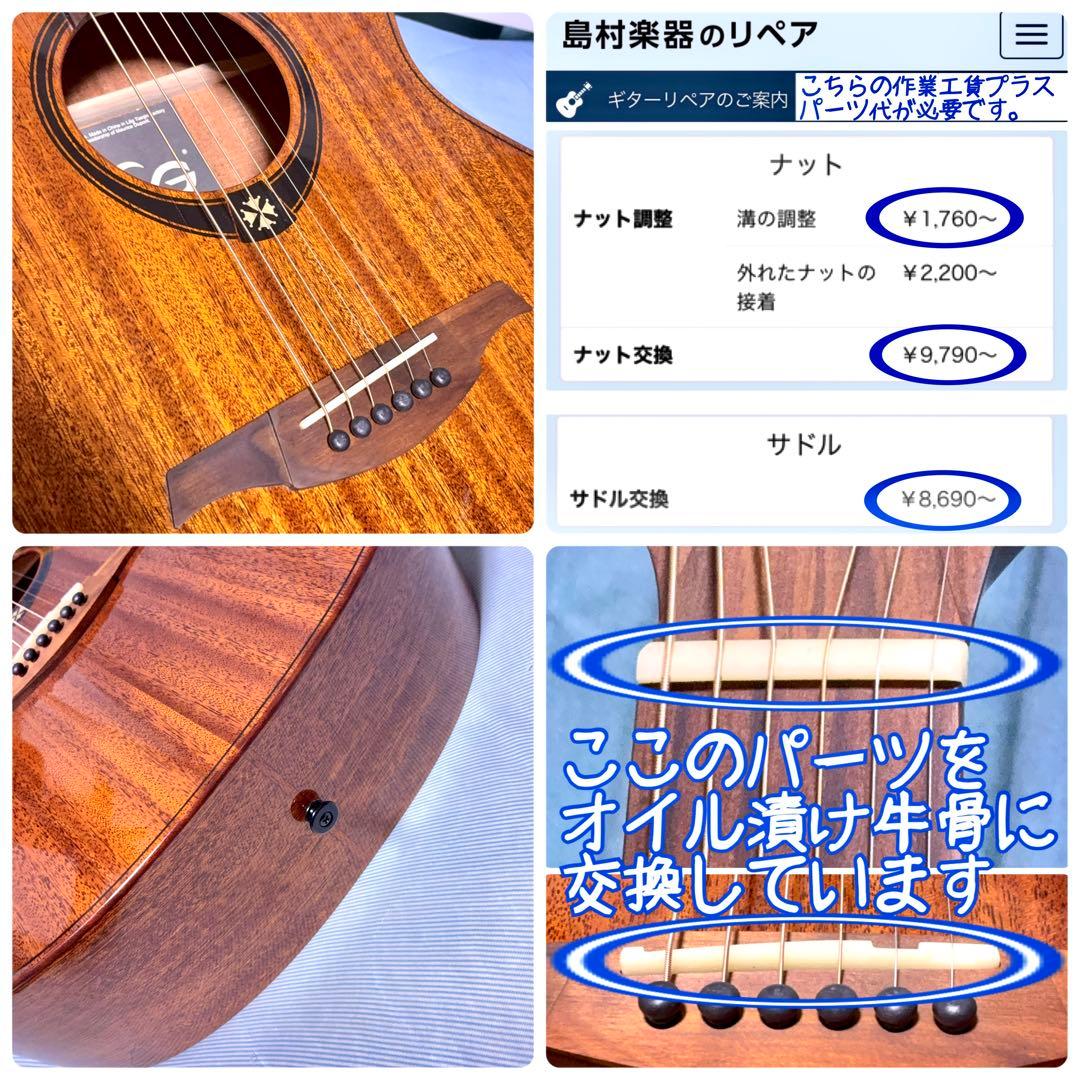 【牛骨☆希少】 LAG GUITARS T98A ※日本未発売モデル