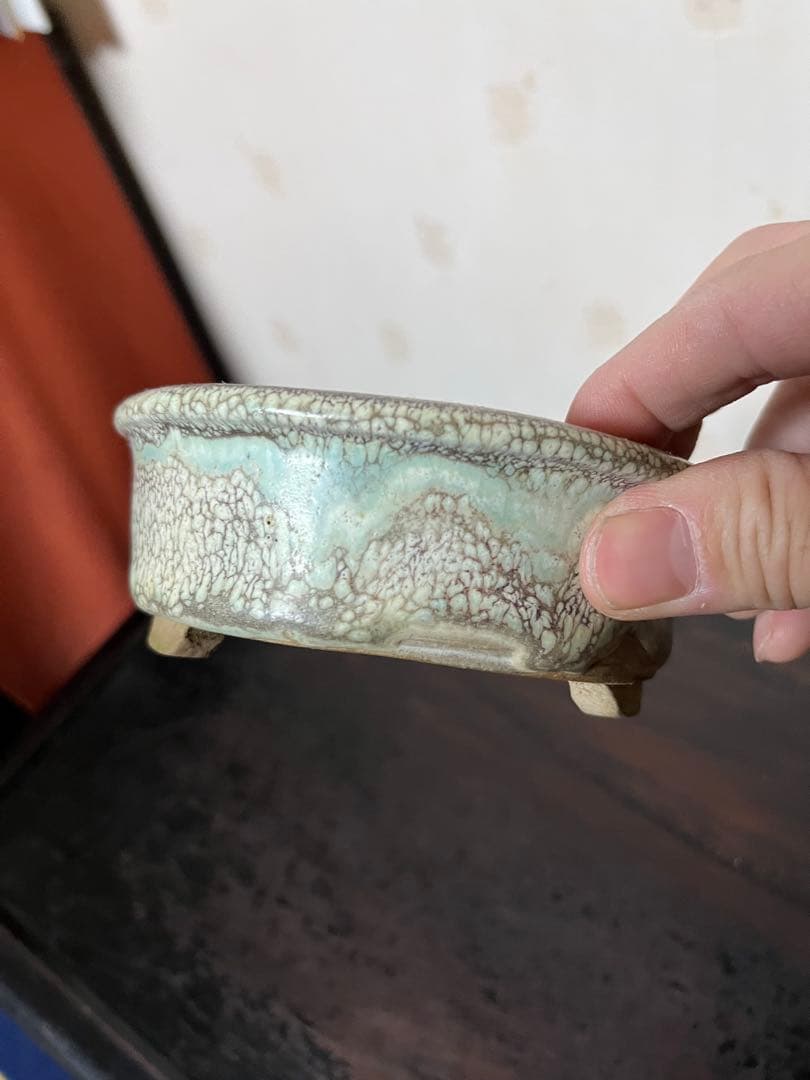 三河盆栽459 盆栽　盆栽鉢　植木鉢　和鉢　俊豪