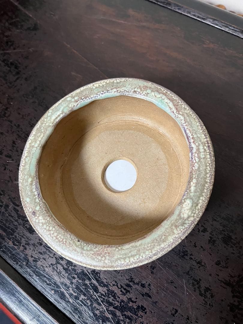 三河盆栽459 盆栽　盆栽鉢　植木鉢　和鉢　俊豪