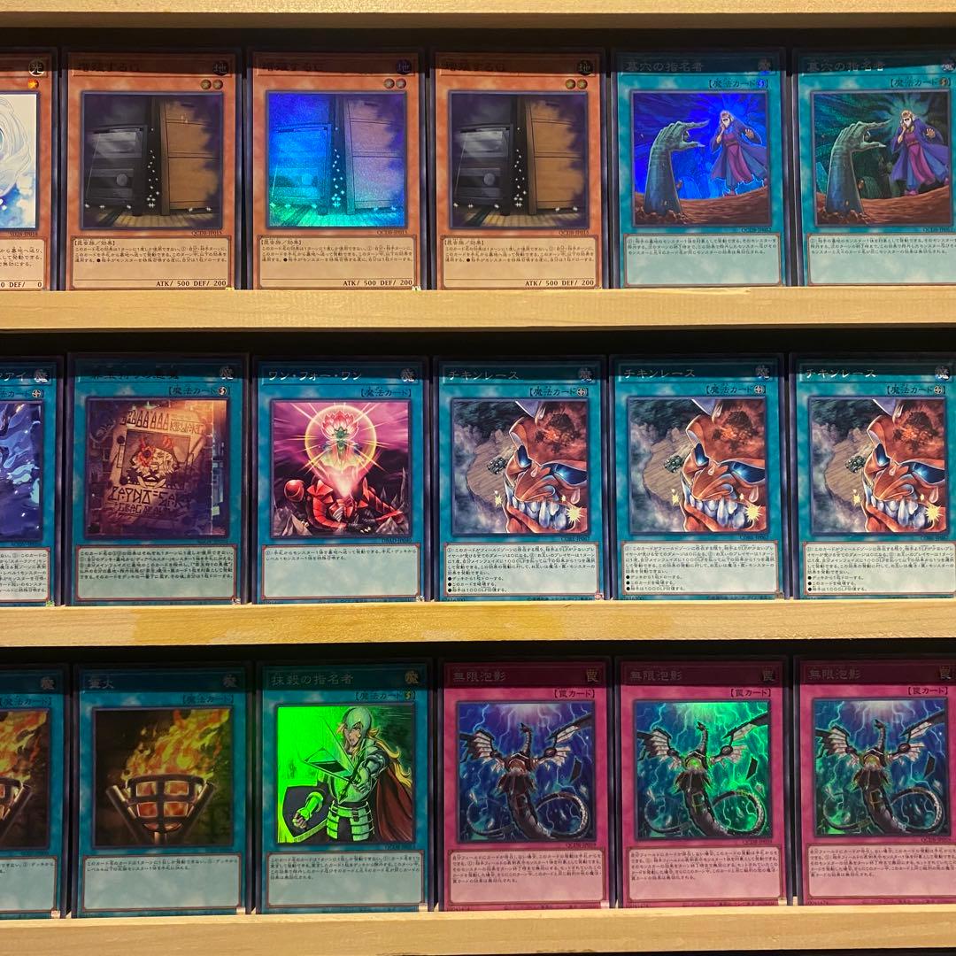 即日発送！大会用　スネークアイ　デッキ　チキンレース　篝火　ディアベルスター