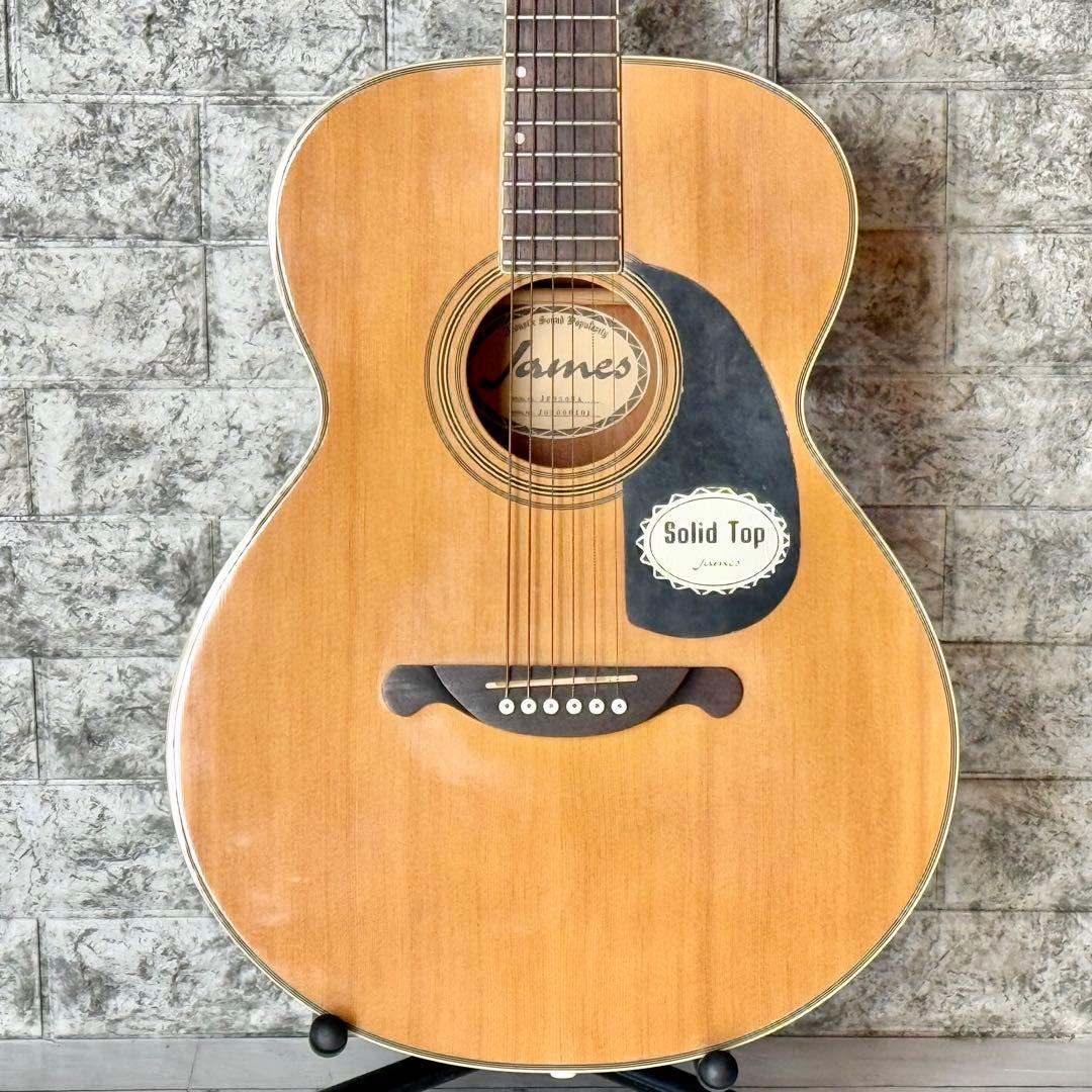 James JF350NA トップ単板アコースティックギター