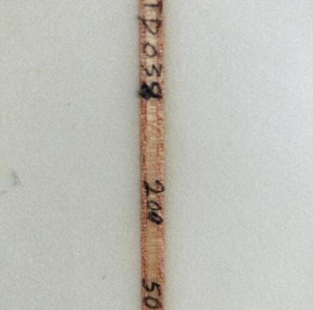 ショートボード フィン付き