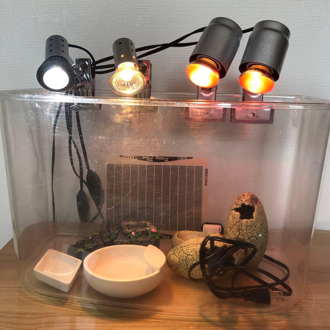 爬虫類 トカゲ カメ UV LED 照明 紫外線 ライト バスキングセット