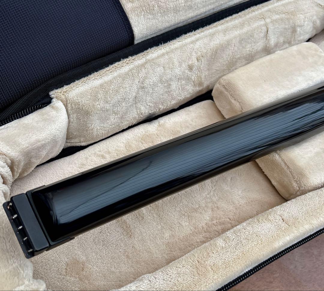 STEINBERGER XQ-25A 1994 スタインバーガー 5弦