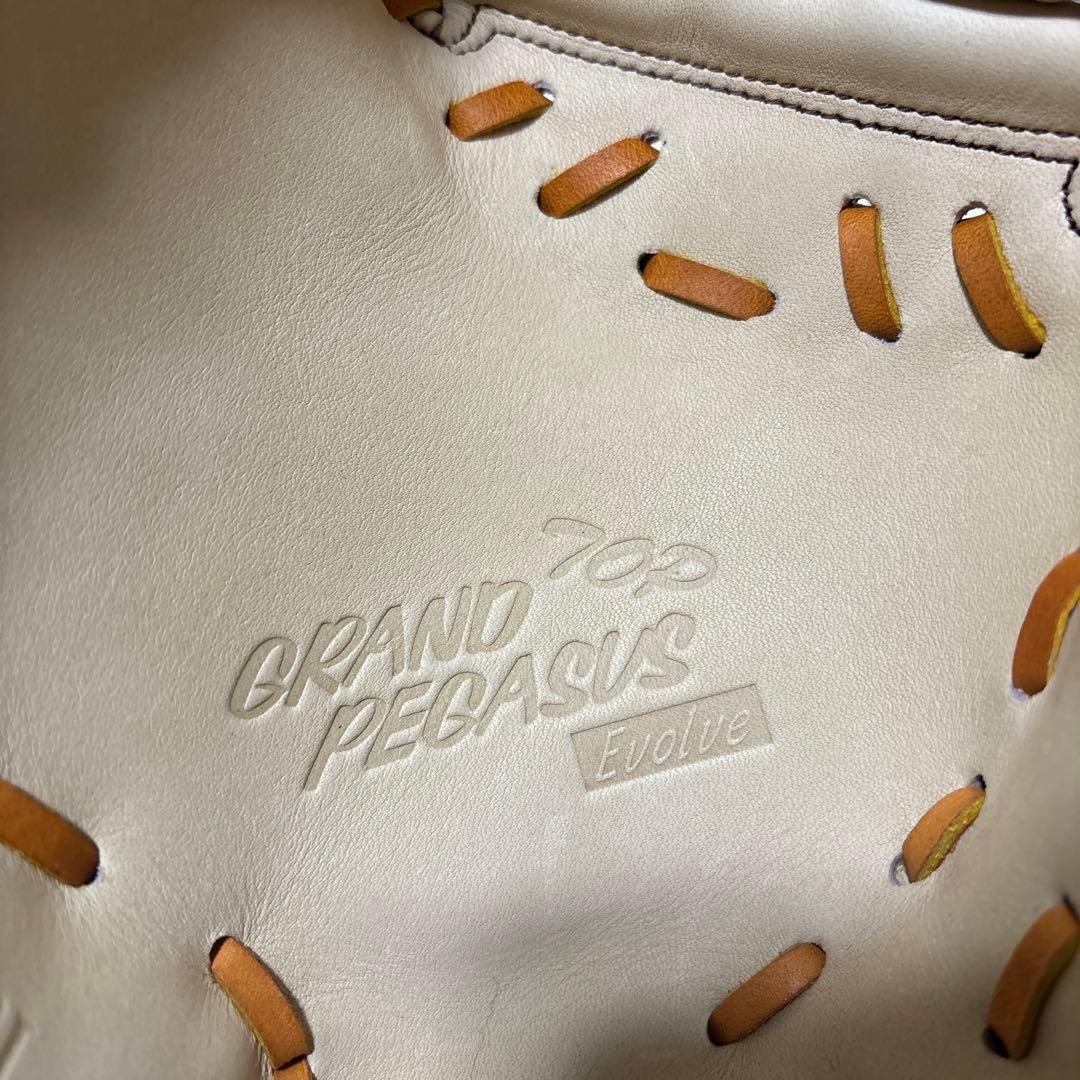 定価税込45650円！ワールドペガサス硬式用　ファーストミット　新品未使用袋付