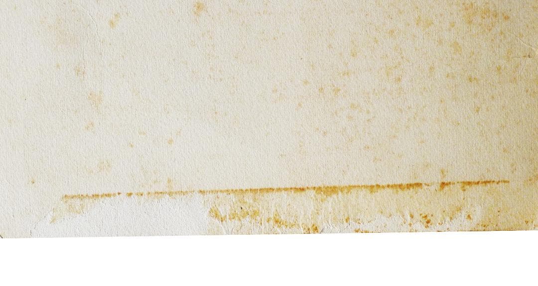 マトソンラインのディナーメニュー　その2フランク・マッキントッシュシリーズ＃２