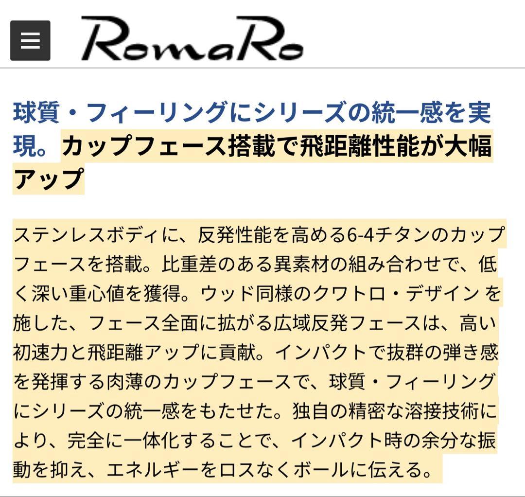 【極美品】RomaRo Rayα FORGED DG105 R300 8本特注品