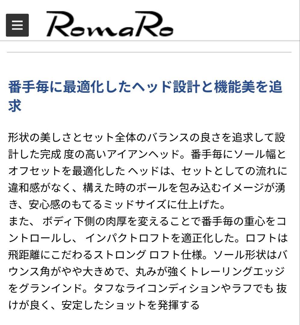 【極美品】RomaRo Rayα FORGED DG105 R300 8本特注品