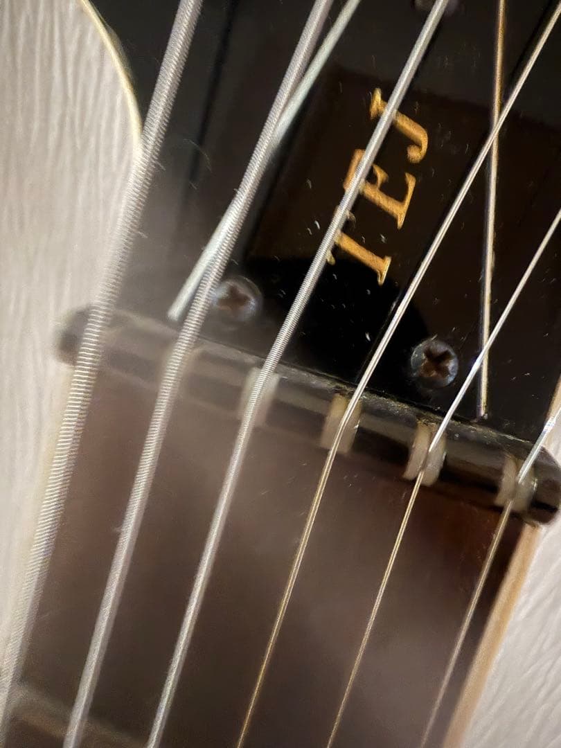 Fernandes TEJ-95s 9Vサスティナー