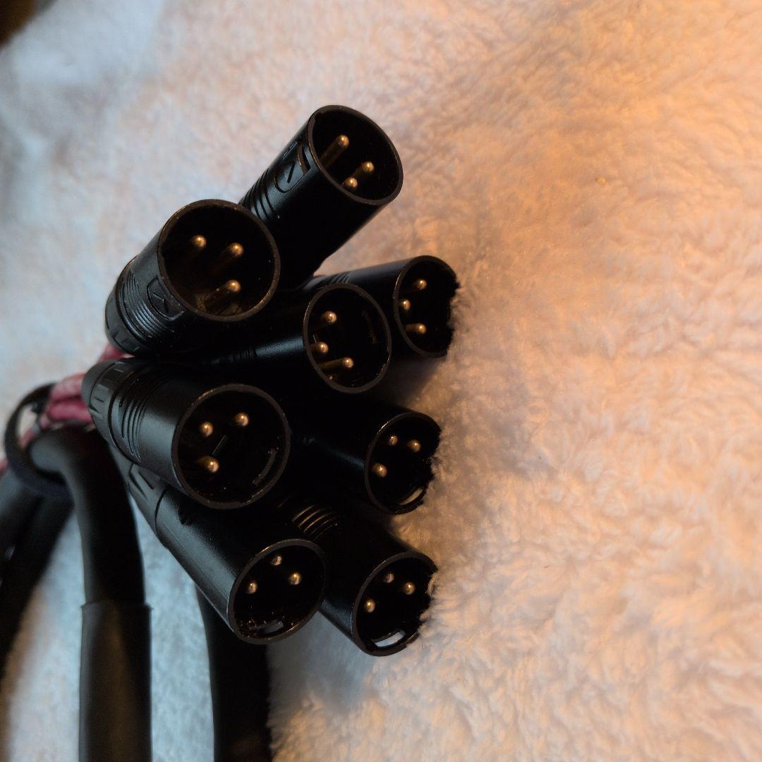 Digidesign DB25-XLRM オーディオケーブル D-subケーブル