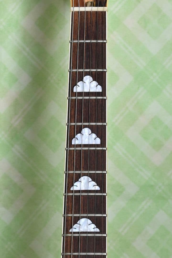 Burny FERNANDES MG X Japan hide モッキンバード