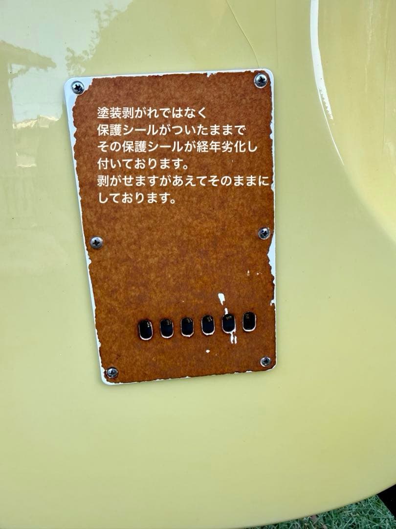 ギター Fresher STRAIGHTER FS-331