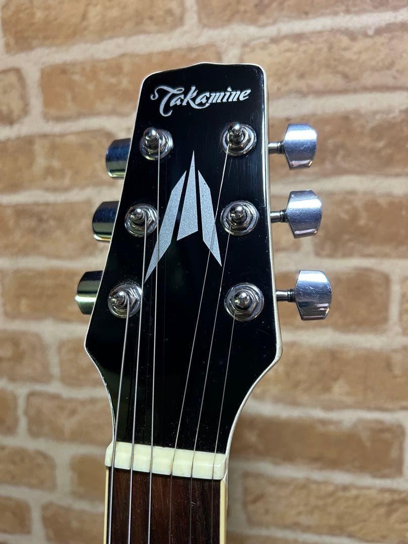 タカミネ エレクトリックアコースティックギター