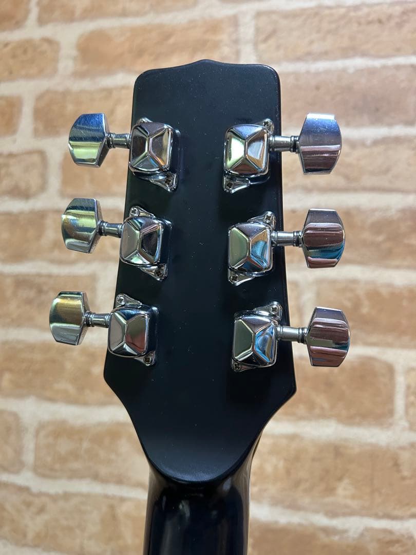 タカミネ エレクトリックアコースティックギター