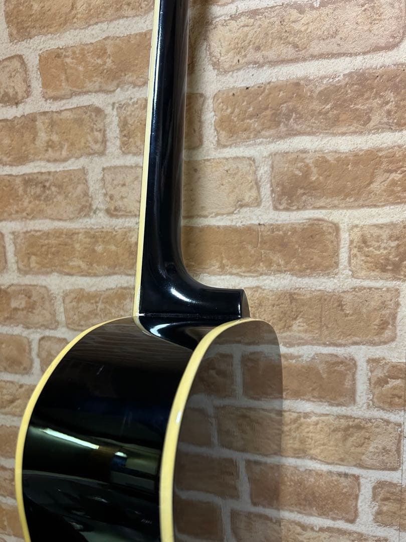 タカミネ エレクトリックアコースティックギター