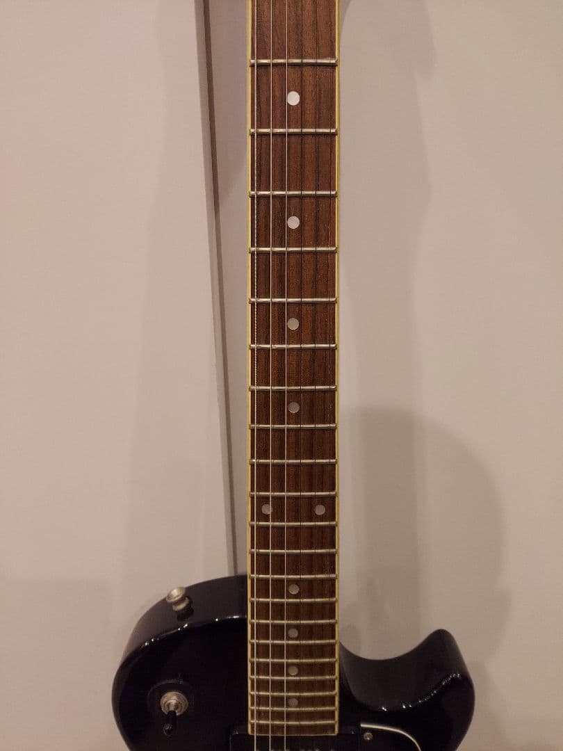 BLITZ by AriaProII Leopard レオパード