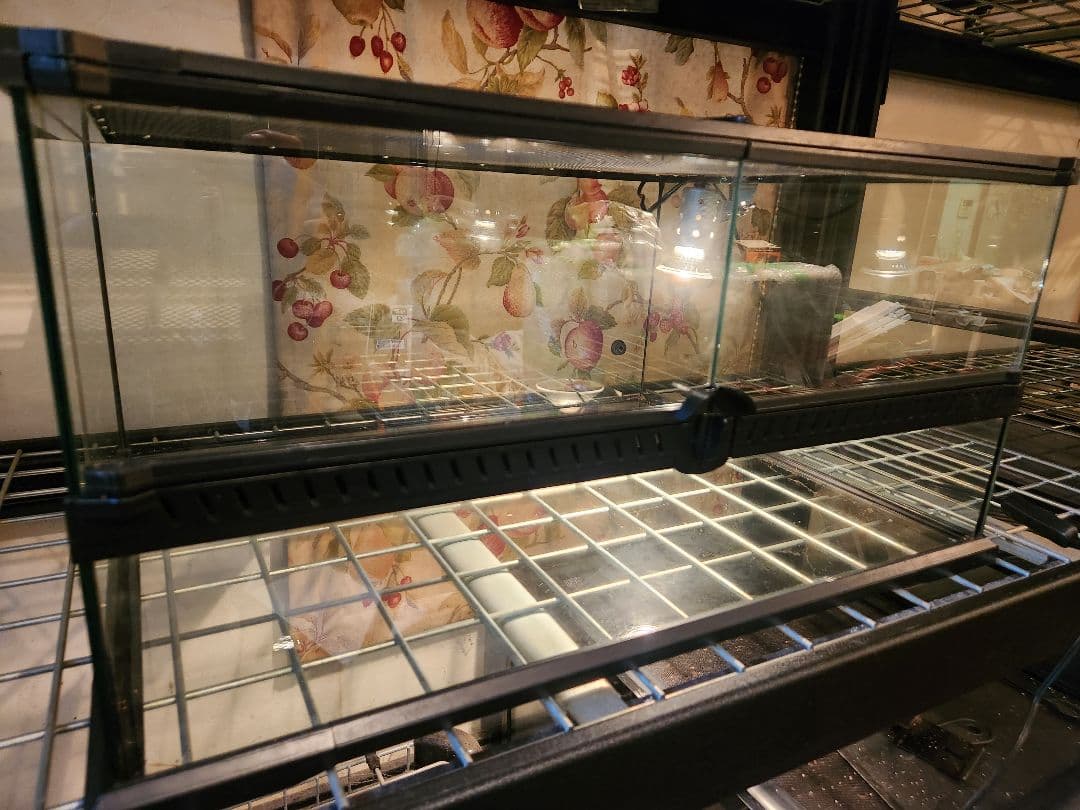 送料込レインフォレストタンクL low中古1台マイクロサン53w中古1台